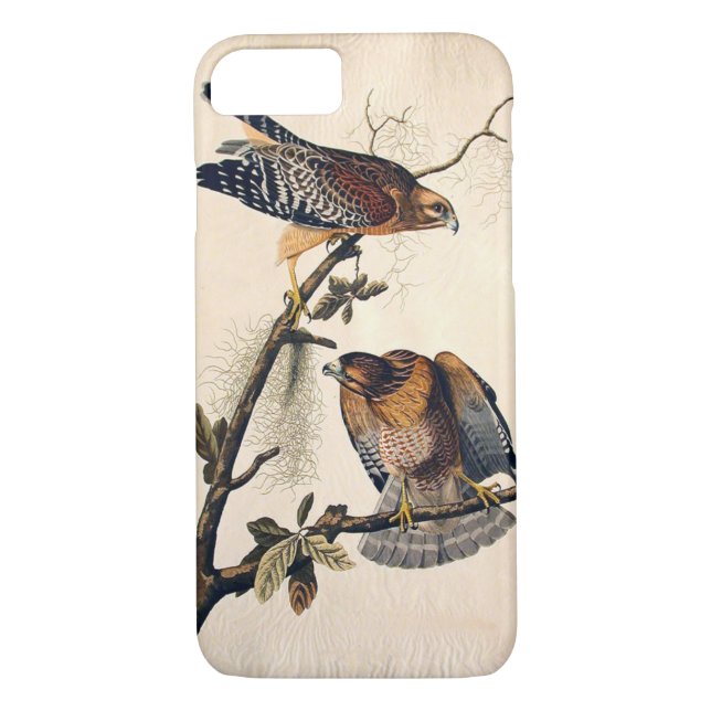 Coques Case-Mate iPhone J. Audubon (faucon épaulé rouge) (1829) (Dos)