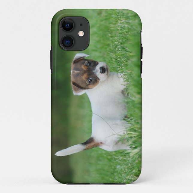 Coques Case-Mate iPhone Jack Russell Terrier puppy (Dos)