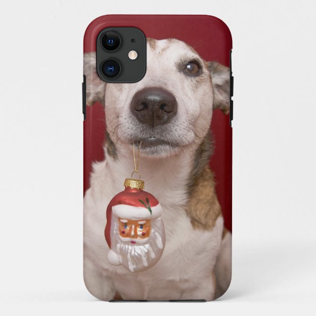 Coques Case-Mate iPhone Jack Russell Terrier tenant l'ornement de Noël (Dos)