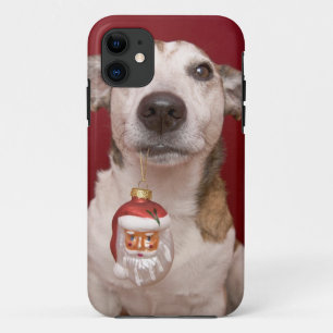 Coque Case-Mate Pour iPhone Jack Russell Terrier tenant l'ornement de Noël