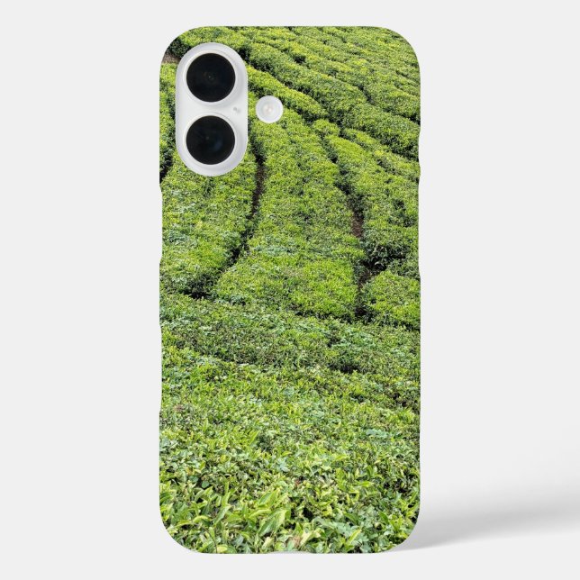Coques Case-Mate iPhone Jardins de thé de Munnar sur boîtier Apple Iphone  (Verso)
