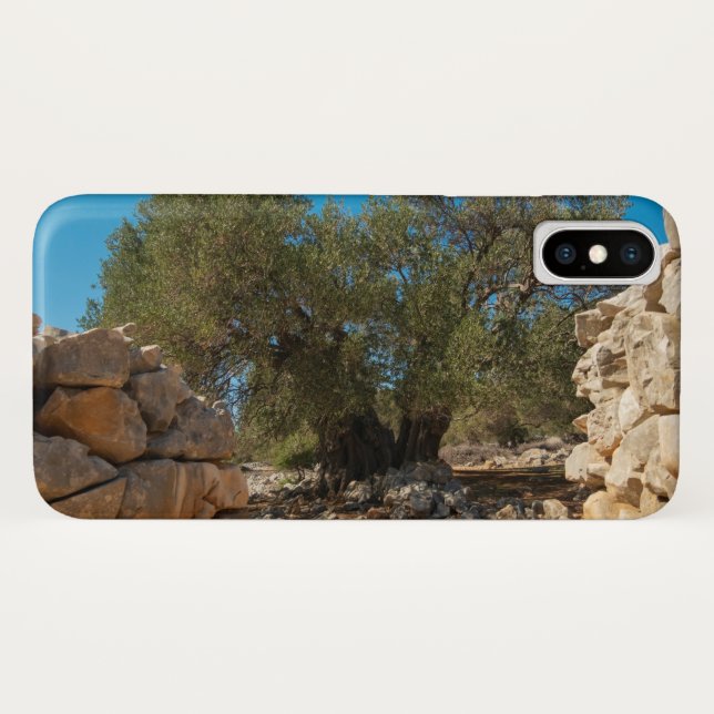 Coques Case-Mate iPhone Jardins d'olivier de Lun (Dos (Horizontal))