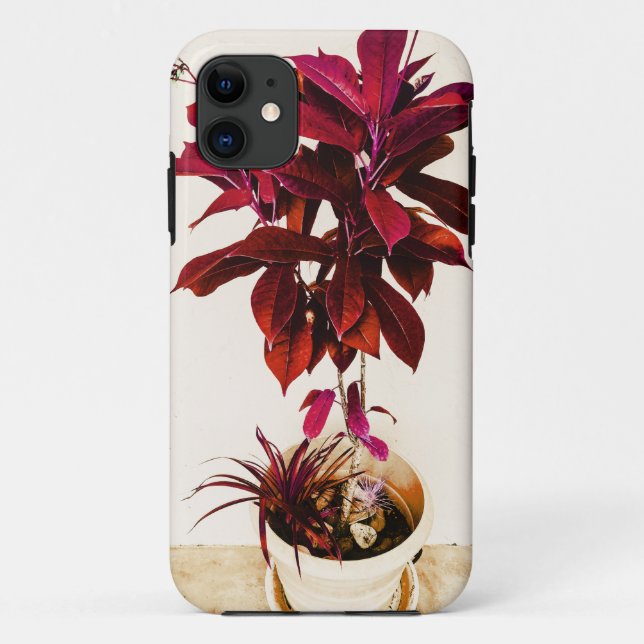 Coques Case-Mate iPhone Jatropha Plante en rouge profond (Dos)