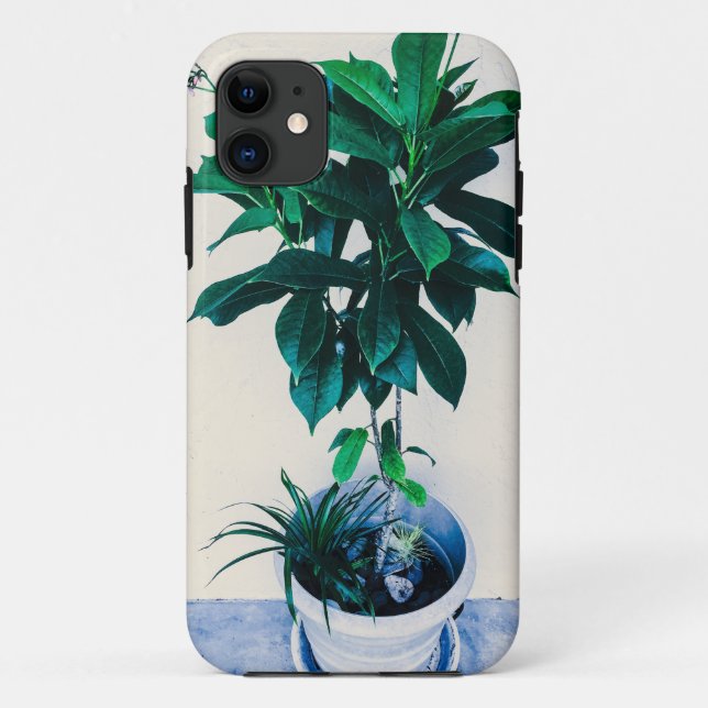 Coques Case-Mate iPhone Jatropha Plante en vert naturel (Dos)