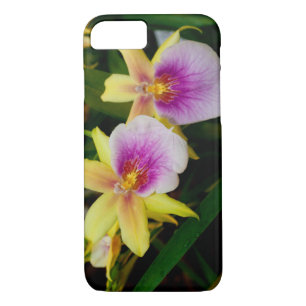 Coque Case-Mate iPhone Jaune rose violet Miltonia Sunset Orchidées