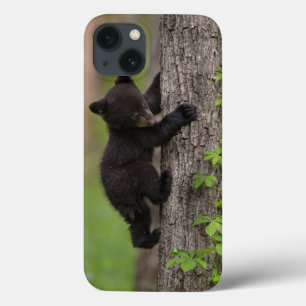Etui iPhone 13 Jeune ours noir grimpant à un arbre