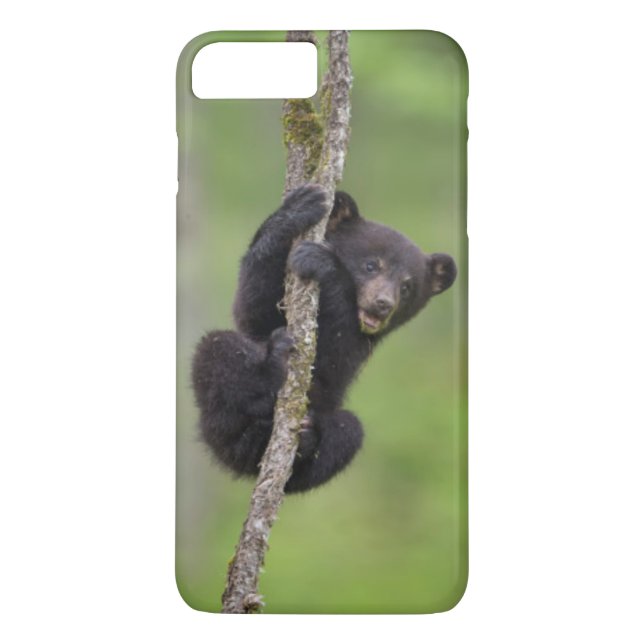 Coques Case-Mate iPhone Jeune ours noir jouant, Tennessee (Dos)