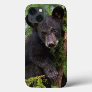 Case-Mate iPhone Case Jeune ourson noir jouant dans les arbres