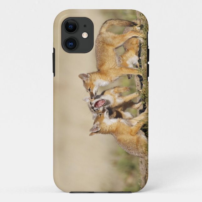 Coques Case-Mate iPhone Jeune Renard véloce (Vulpes macrotis) au terrier, (Dos)