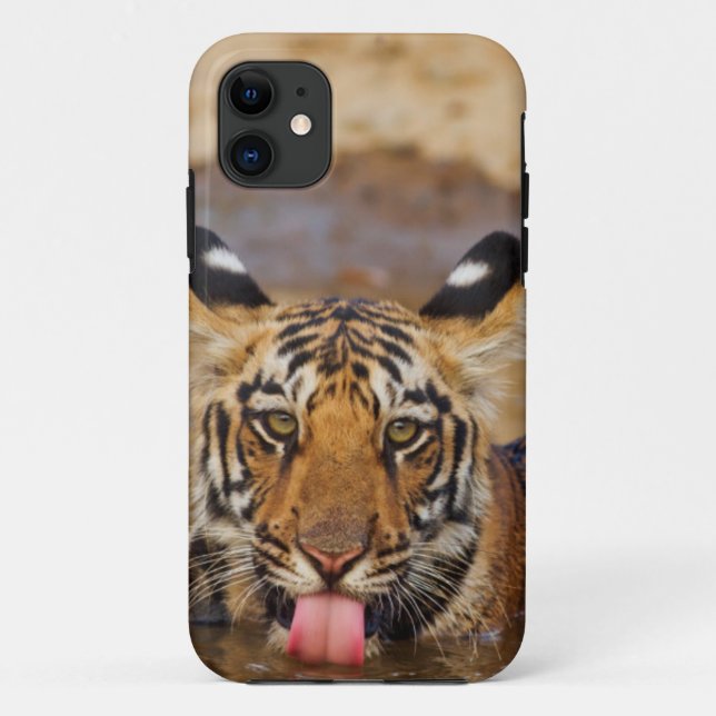 Coques Case-Mate iPhone Jeune tigre du Bengale royal, buvant de l'eau (Dos)