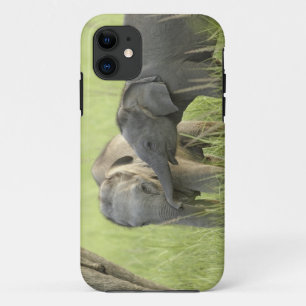 Coques Pour iPhone Jeunes éléphants d'Inde / d'Asie