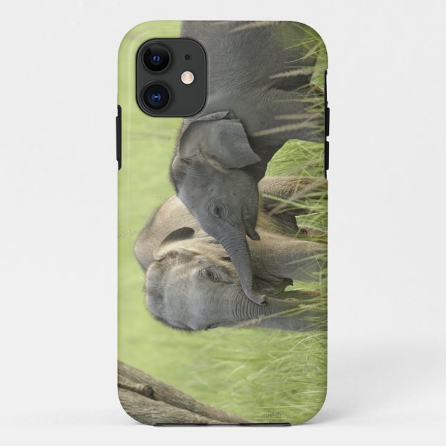 Coques Case-Mate iPhone Jeunes éléphants d'Inde / d'Asie (Dos)