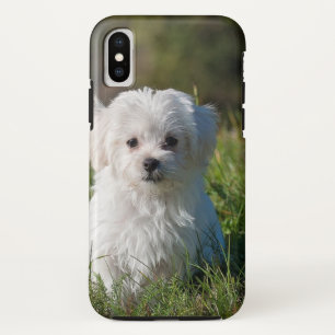 Case-Mate iPhone Case Joli chiot blanc