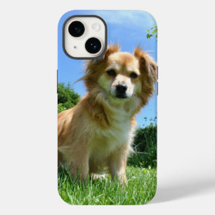 Coque Case-Mate iPhone Joli chiot dans une photo de jardin