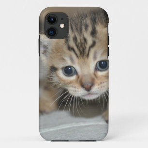 Coque Case-Mate Pour iPhone Joli jeune chaton
