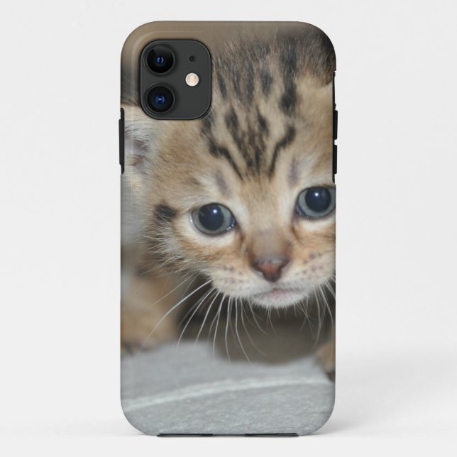 Coques Case-Mate iPhone Joli jeune chaton (Dos)