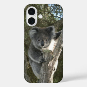 Coque Pour iPhone 16 Joli koala grimpant à un arbre