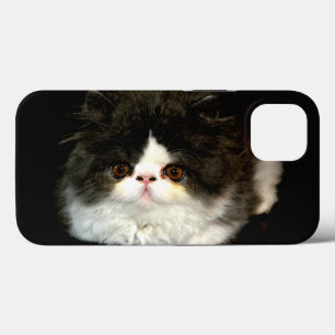 Case-Mate iPhone Case Joli noir blanc chaton photo