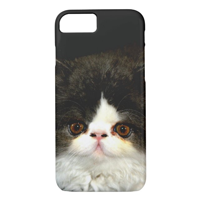 Coques Case-Mate iPhone Joli noir blanc chaton photo (Dos)
