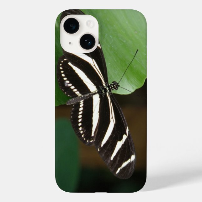 Coques Case-Mate iPhone Joli Papillon à aile longue Zèbre (Verso)