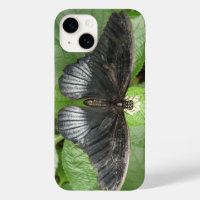 Joli papillon Tropical et fleurs
