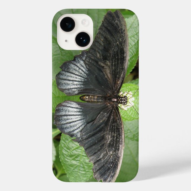 Coques Case-Mate iPhone Joli papillon Tropical et fleurs (Verso)