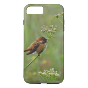 Etui iPhone Case-Mate Joli petit colibri
