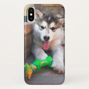 Coque Case-Mate iPhone Jolie Alaskan Malamute Puppy Avec Rope Toy Photo