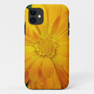 Case-Mate iPhone Case jolie fleur de marguerite jaune fraîche