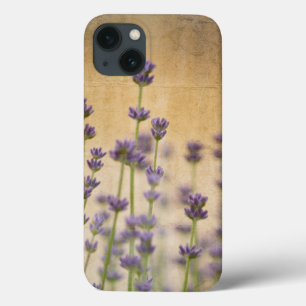 iPhone 13 Coque Jolies fleurs de lavande