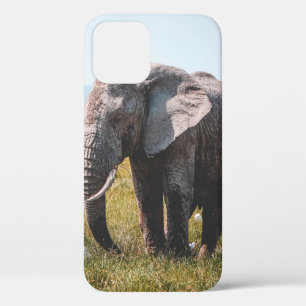 Case-Mate iPhone CASE JOLIMENT ÉLÉPHANT
