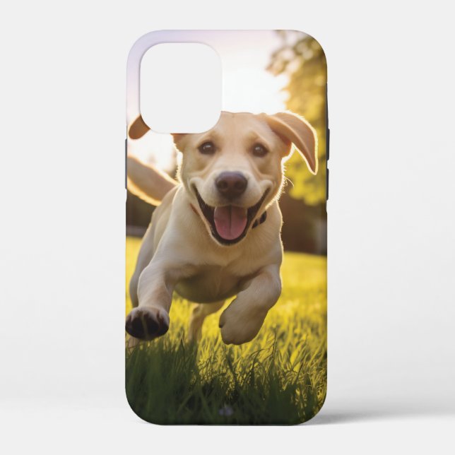 Coques Case-Mate iPhone Joyeux Labrador Puppy Running (Verso)