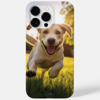Joyeux Labrador Puppy Running