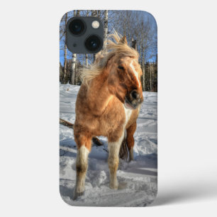 iPhone 13 Coque Joyeux Palomino Pinto Horse et neige