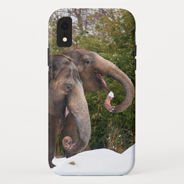 Coques Case-Mate iPhone Joyeux souriant de mignons éléphants jouant dans l (Dos)