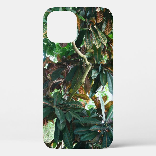 Coques Case-Mate iPhone Jungle tropicale verte (Verso)