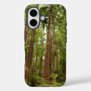 Coques iPhone 16 Jusqu'aux séquoias I à Muir Woods National Monumen