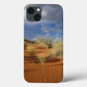 iPhone 13 Case Kalahari Desert Scene, Kgalagadi Transfrontier 2