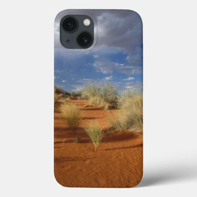 Coques Case-Mate iPhone Kalahari Desert Scene, Kgalagadi Transfrontier 2 (Verso)