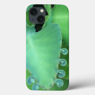 Etui iPhone Case-Mate Kalanchoe