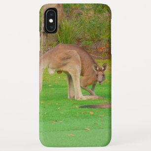 Coque Case-Mate iPhone kangourou