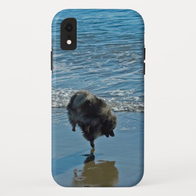 Coques Case-Mate iPhone Keeshond Ballet Photographie - Joli chien d'origin (Dos)