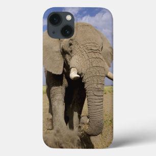 Coque Case-Mate iPhone Kenya : parc national d'Amboseli, éléphant mâle