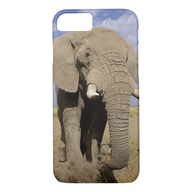 Coques Case-Mate iPhone Kenya : Parc national d'Amboseli, éléphant mâle (Dos)