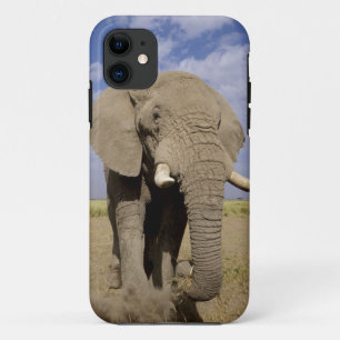 Coques Pour iPhone Kenya : Parc national d'Amboseli, éléphant mâle