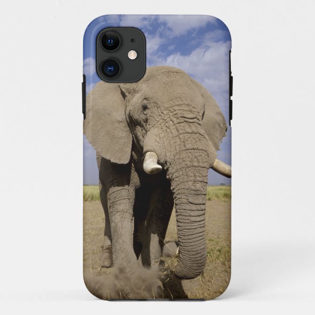 Coques Case-Mate iPhone Kenya : Parc national d'Amboseli, éléphant mâle (Dos)