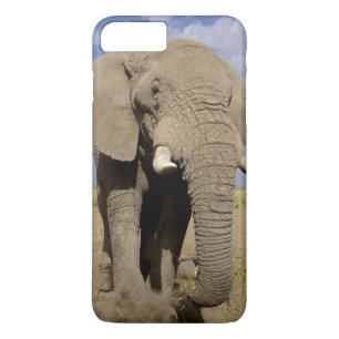 Coque Case-Mate iPhone Kenya : Parc national d'Amboseli, éléphant mâle