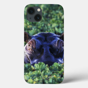 Etui iPhone 13 Kenya, réserve nationale du Masai Mara.