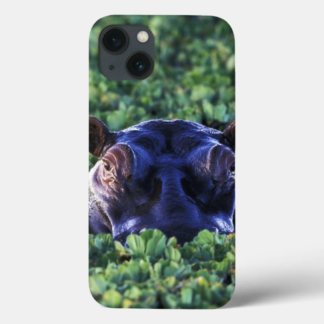 Coques Case-Mate iPhone Kenya, réserve nationale du Masai Mara. (Verso)