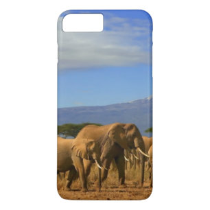 Coques Pour iPhone Kilimanjaro et éléphants